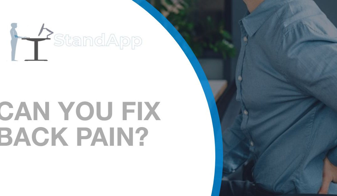 Can You Fix Back Pain?
